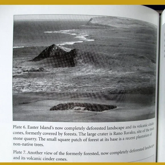 Book - Collapse: How Societies Choose to Fail or Succeed, by Jared Diamond - Picture 11 of 15